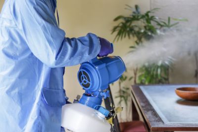 Commercial Fumigation in Fredericksburg, VA