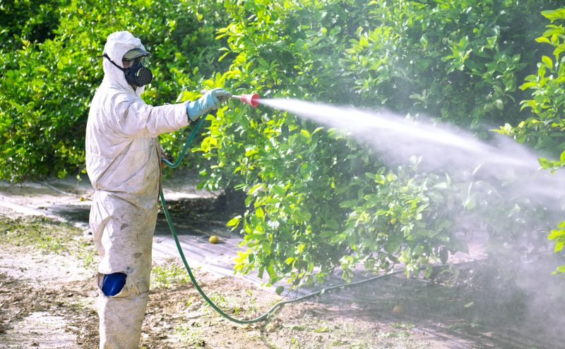 Roach Fumigation in Madison, WI