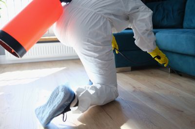 Roach Fumigation in Franklin, TN