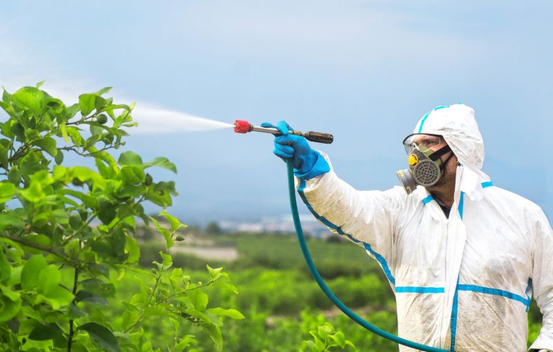 Commercial Fumigation in Clarksville, TN