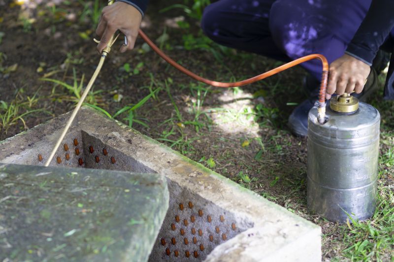 Spider Fumigation Service in Winston Salem, NC