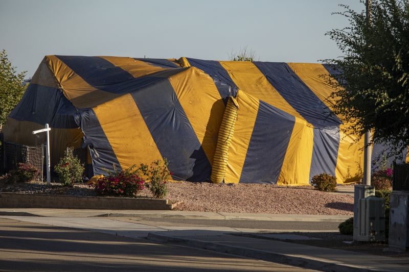 Termite Tent Installation