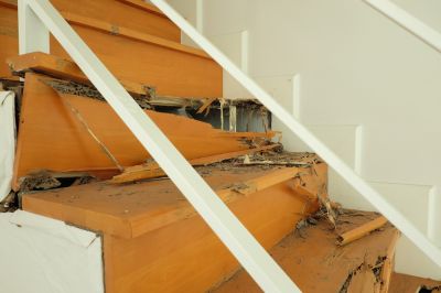 Termites are Very Destructive!